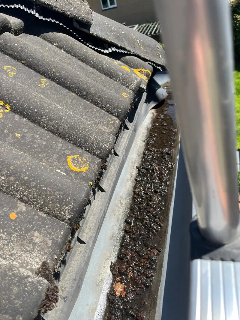 Vervuilde dakgoot, veilig bereikt met een ladder