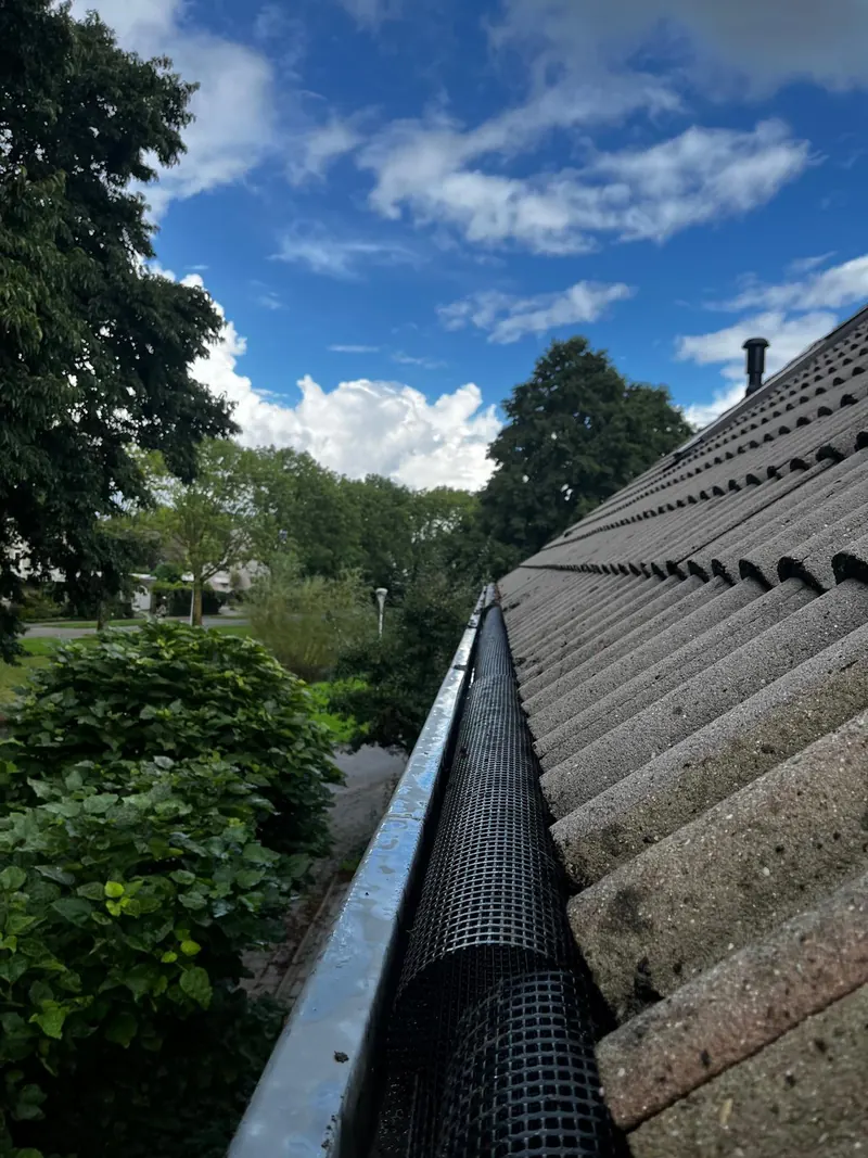 Dakgoot met gaas als bescherming tegen blad