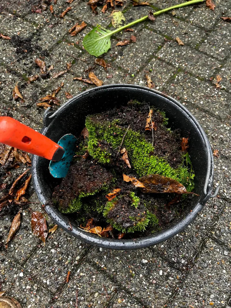 Emmer met mos en vuil uit de dakgoot